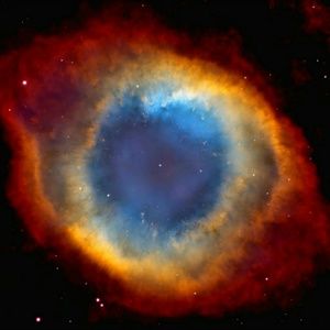 Meet your Posher, Billy